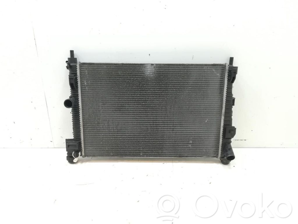 Coolant radiator   8V618005BE