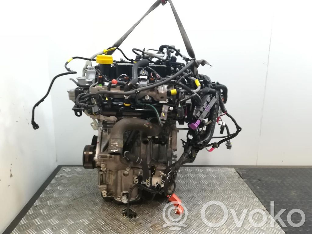 Engine   H4D480