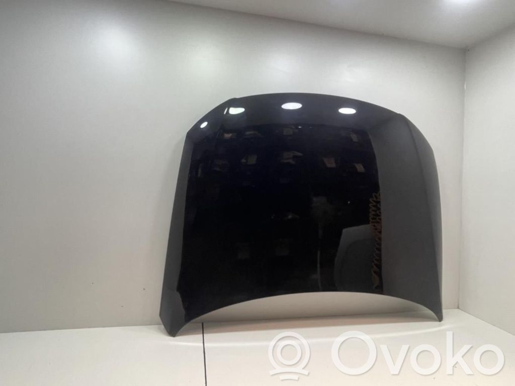 Volkswagen PASSAT Vano motore/cofano