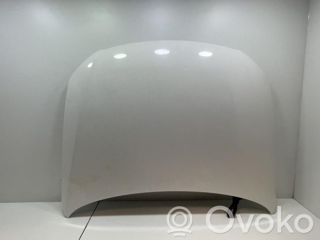 Capó/tapa del motor   3C0823155