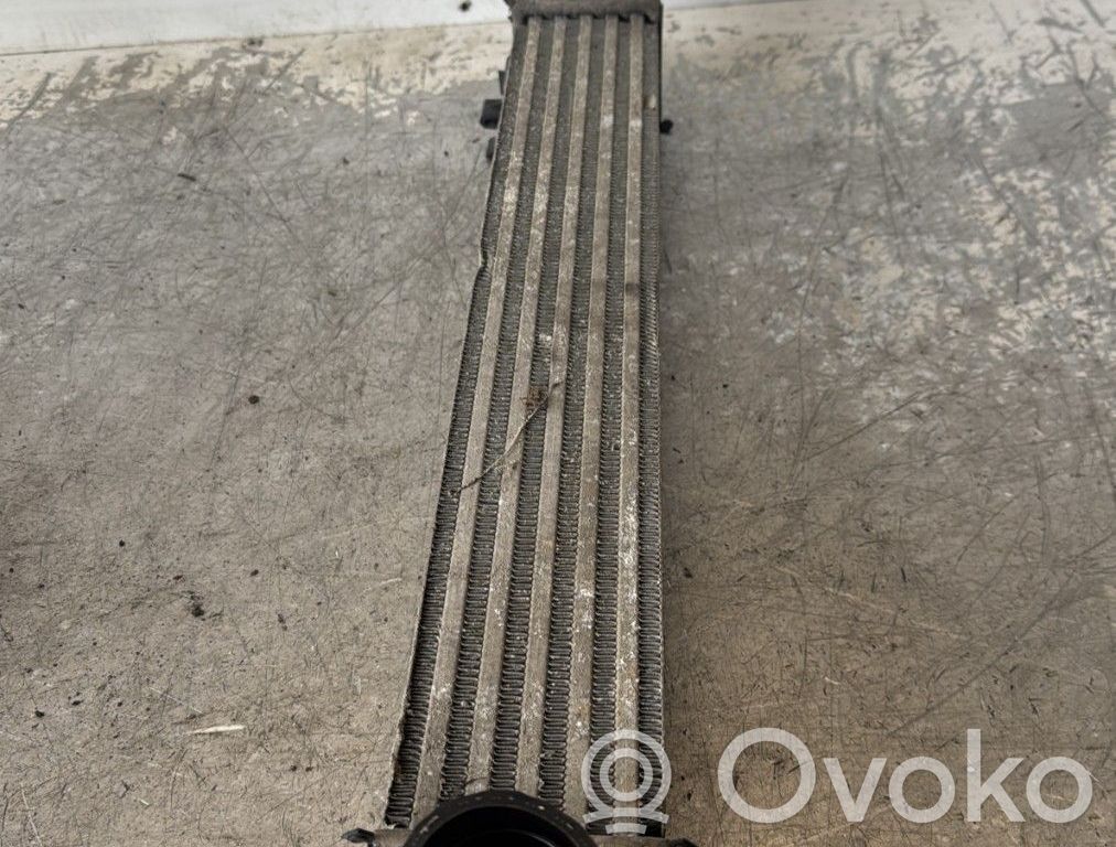 Intercooler radiator   00000384L7