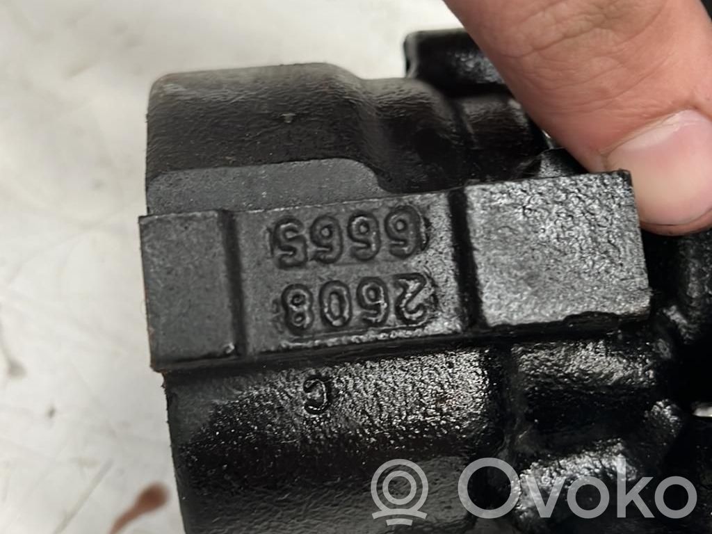 Ohjaustehostimen pumppu   491105510R