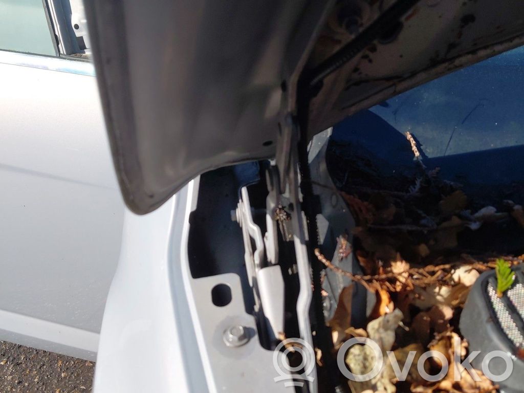 Engine bonnet/hood hinges
