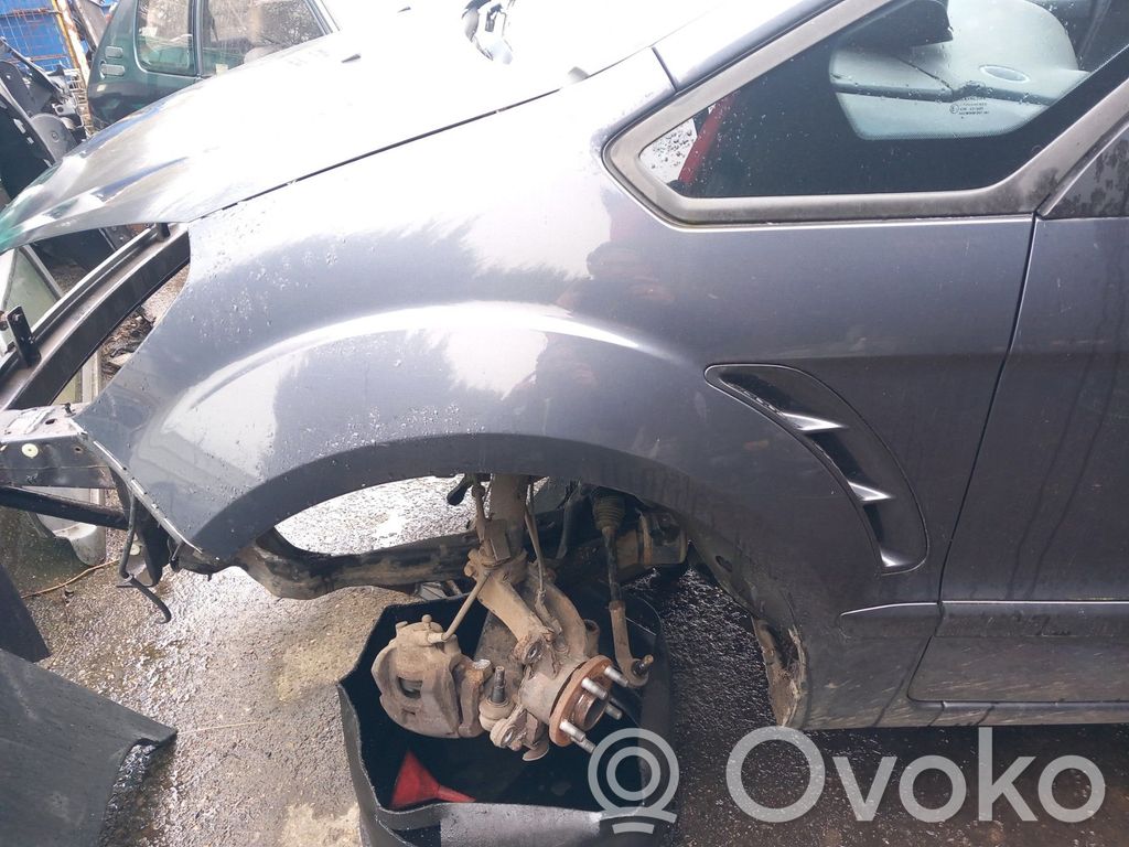Ford S-MAX Fender 