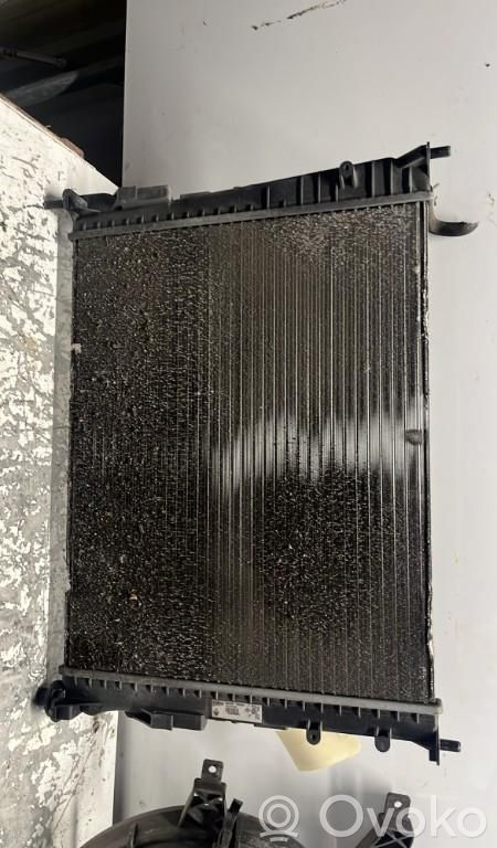 Renault Twingo II Coolant radiator 