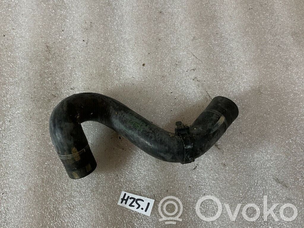 Volkswagen PASSAT B5 Engine coolant pipe/hose 
