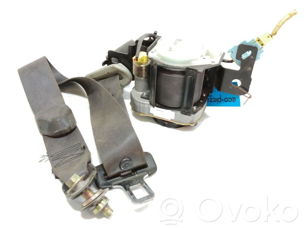 Cinturón delantero   040687