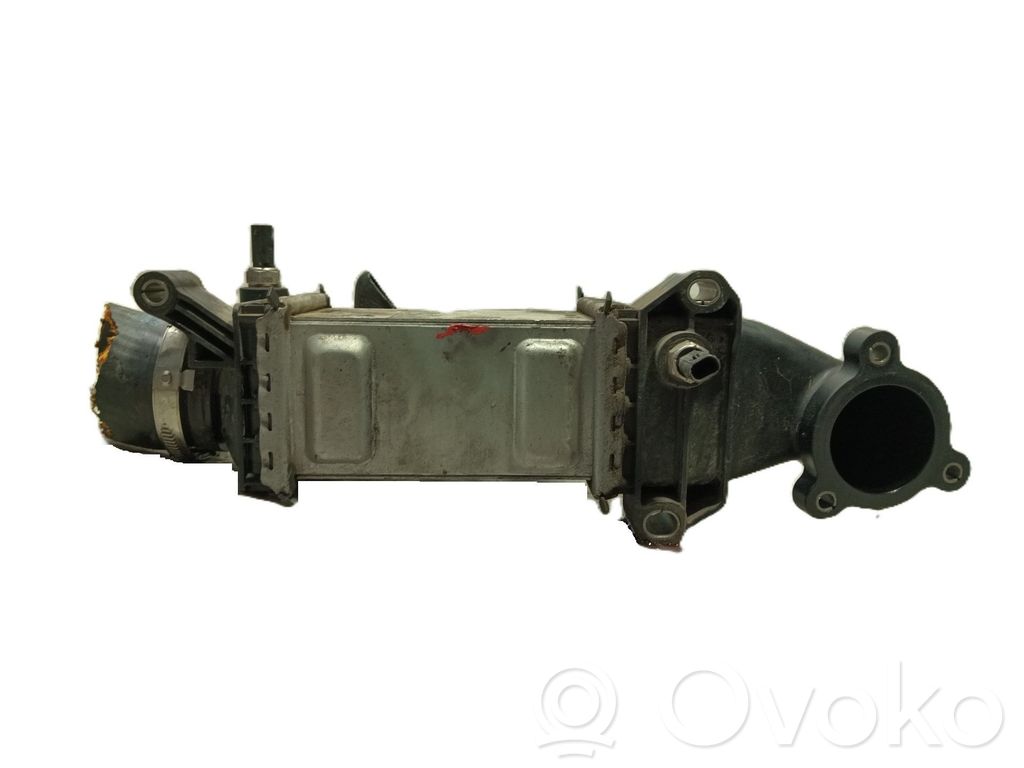 Volkswagen Polo V 6R Engine oil radiator 