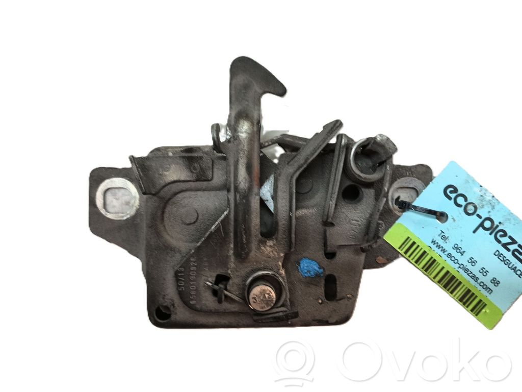 Tie down hook / loop   656014092R,656019092R