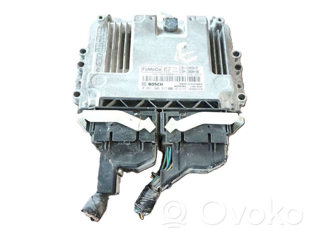 Engine control unit/module   0261S09317