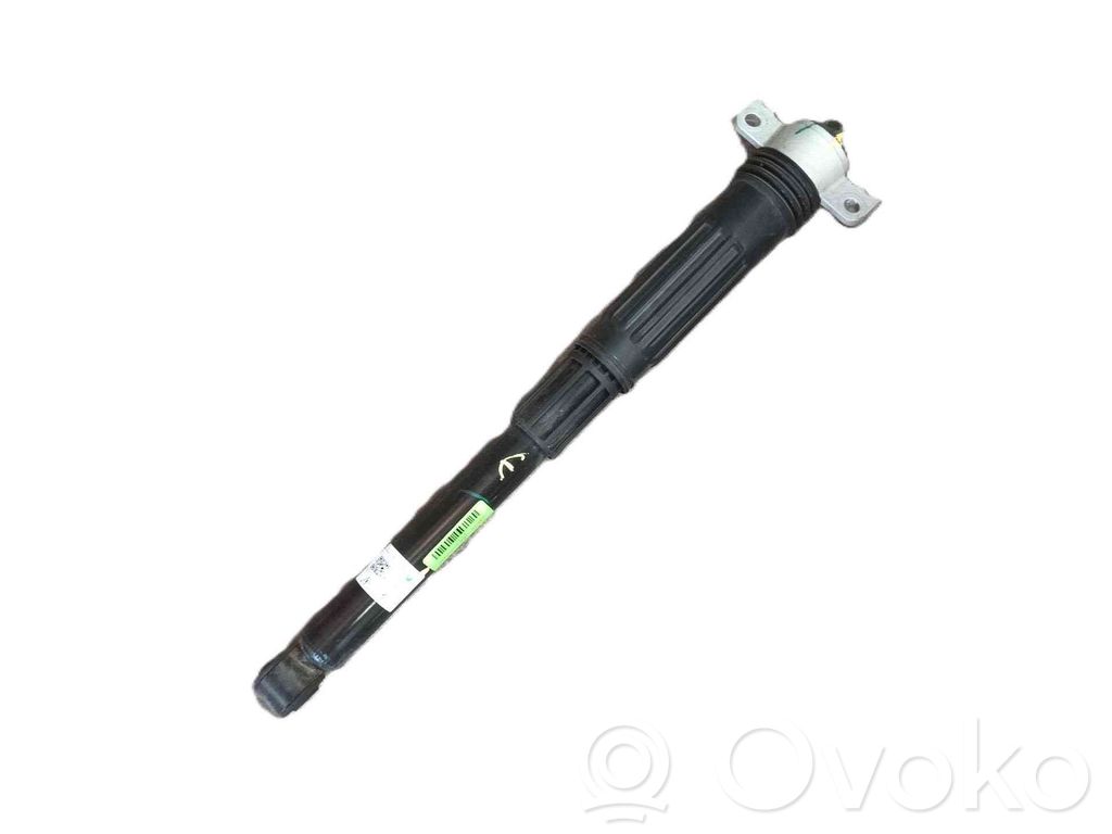 Stoßdämpfer hinten   11640839,20250302XJ