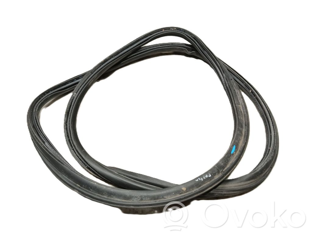 Tesla Model S Front door rubber seal