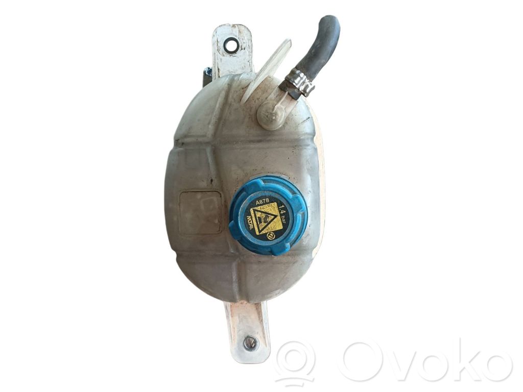 Vaso di espansione carburante   1622715480