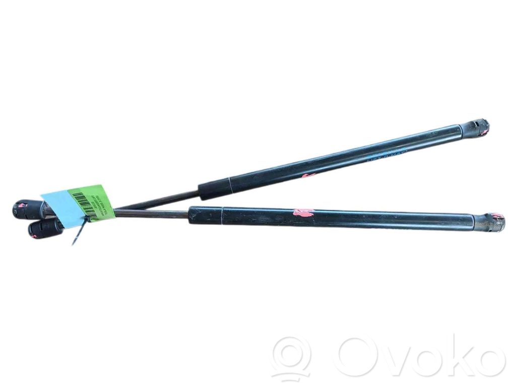 Tesla Model S Amortizor capotă motor 