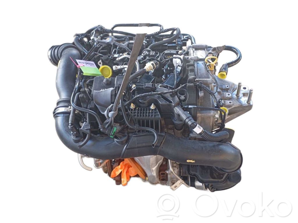 Ford Puma Motor 
