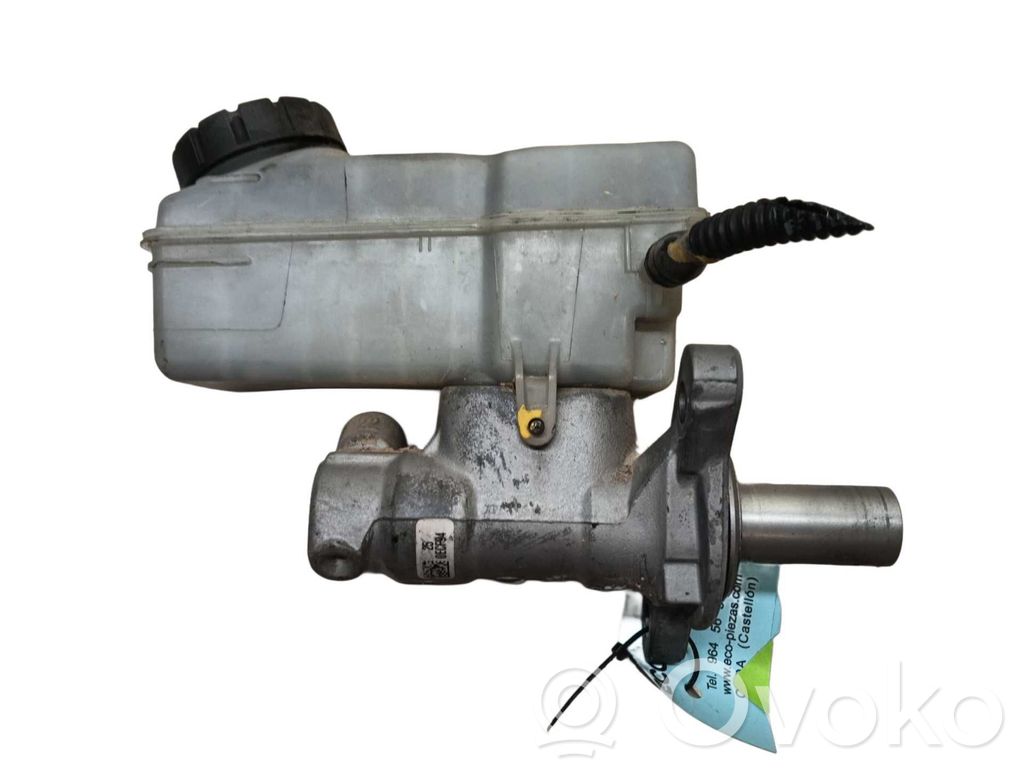 Bremskraftverstärker   460117430R,1070529S01