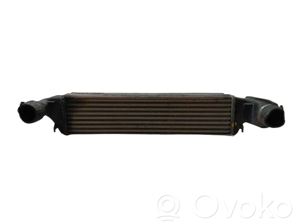 Radiador intercooler   17512246795