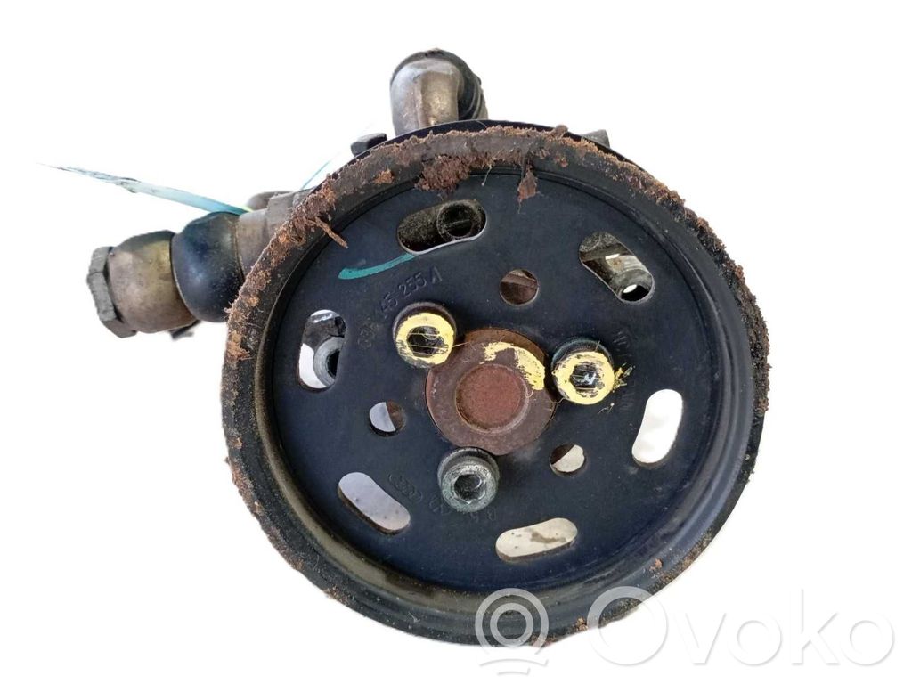 Servopumpe   6N0145157X,1J04221546