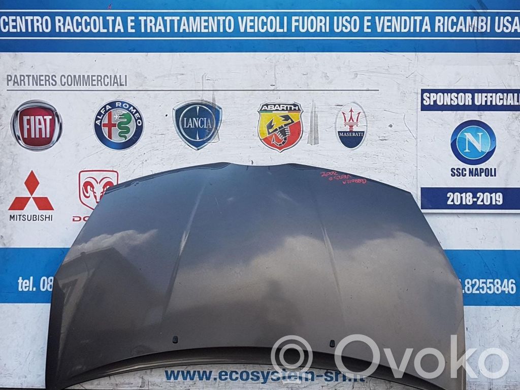 Toyota Corolla Verso AR10 Capotă motor 