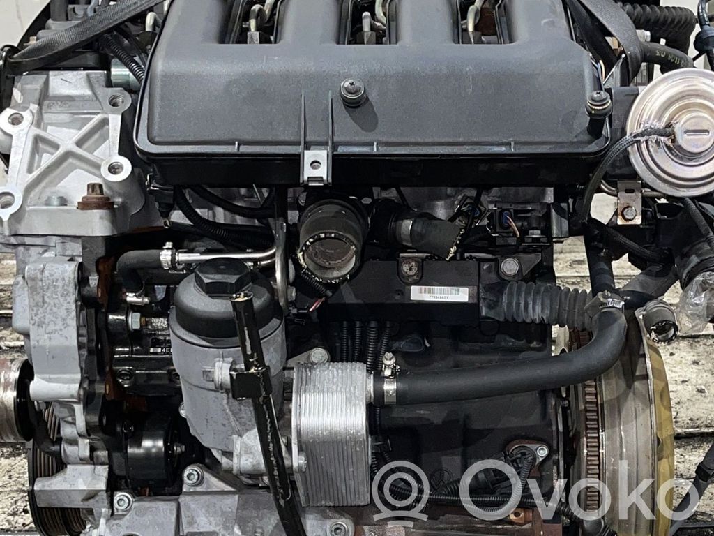 Motor