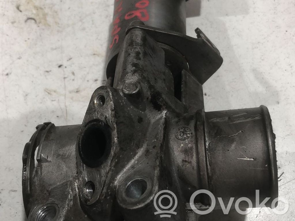Válvula EGR   A6600900954,A6600900954