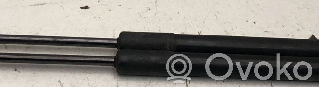 Audi A1 Tailgate/trunk strut/damper 
