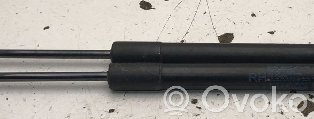 Fiat Tipo Amortiguador/puntal del maletero/compartimento de carga