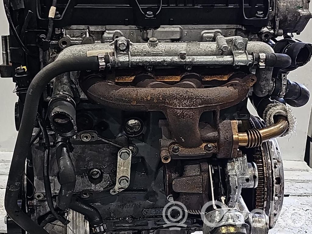 Fiat Bravo Motor
