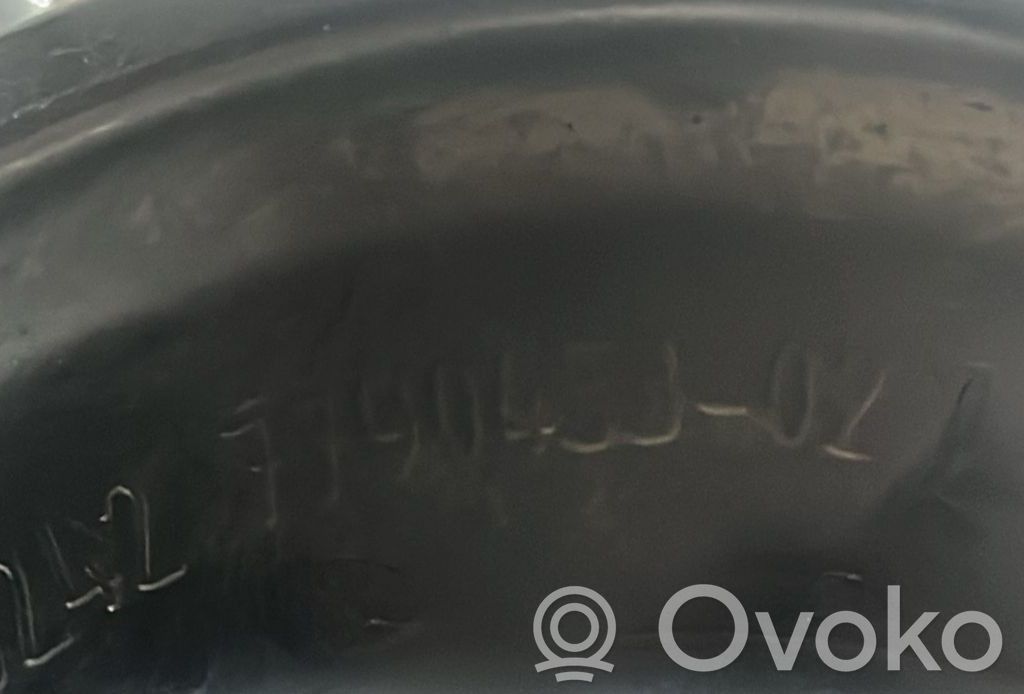 Servopumpe   779045302,779045302