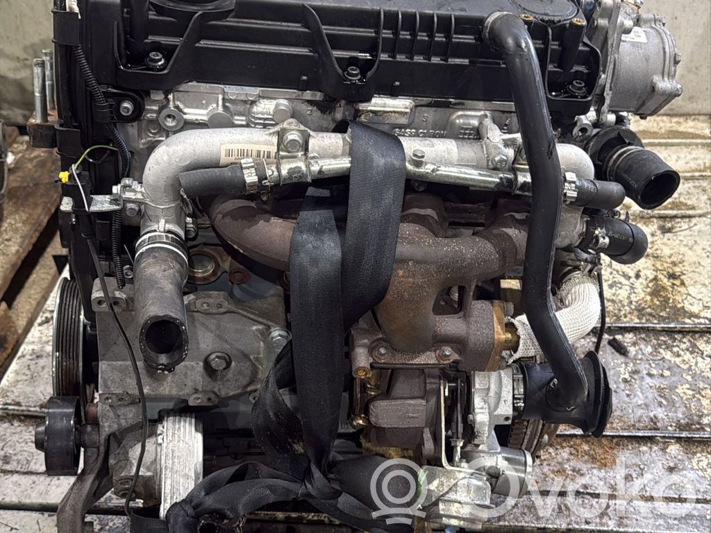 Fiat Bravo Motor