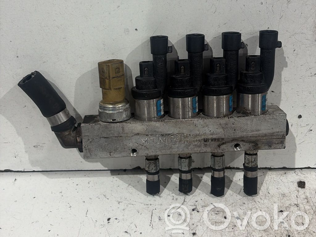 Ford Fiesta Kit d'injecteurs GPL