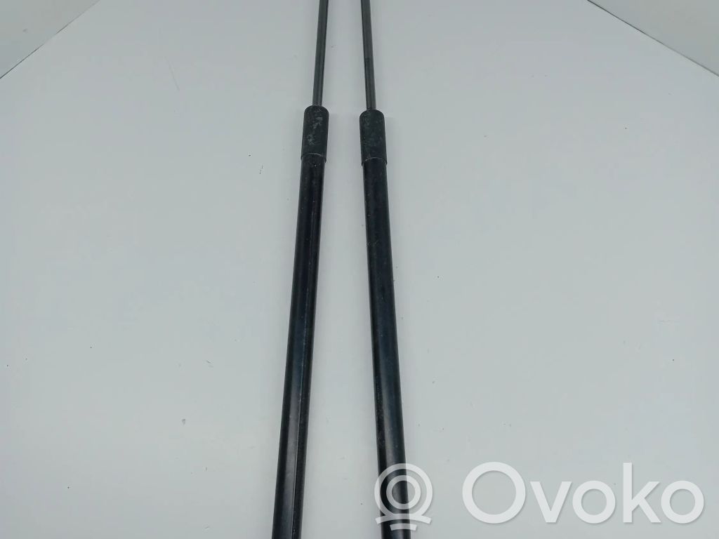 Tailgate strut   5F9827550C