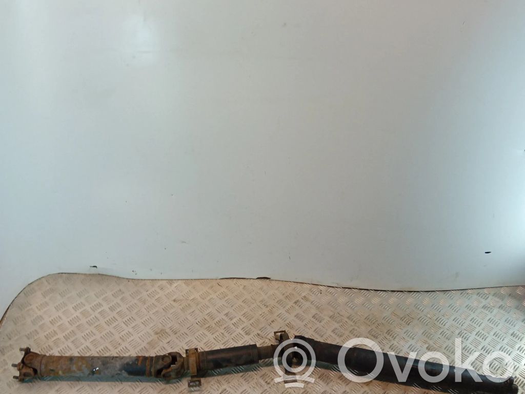 Drive shaft (set)