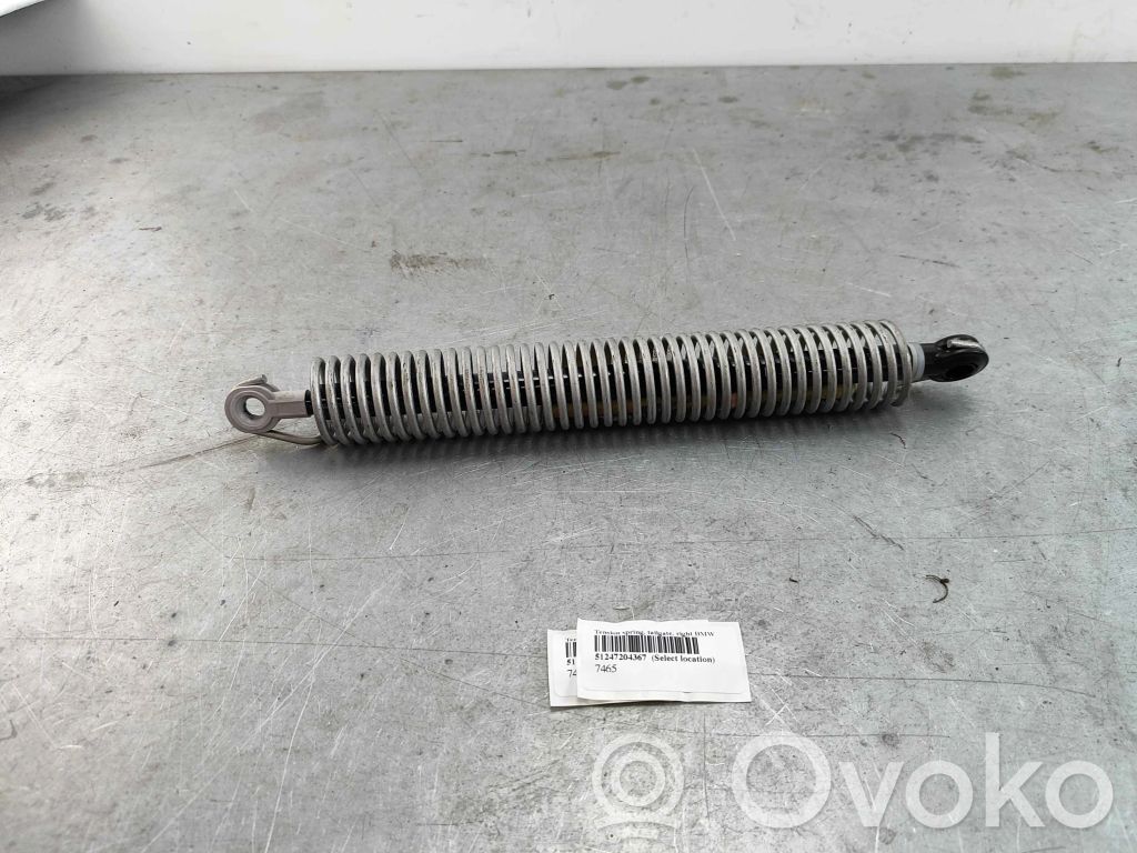 BMW 5 F10 F11 Ammortizzatore portellone posteriore/bagagliaio 
