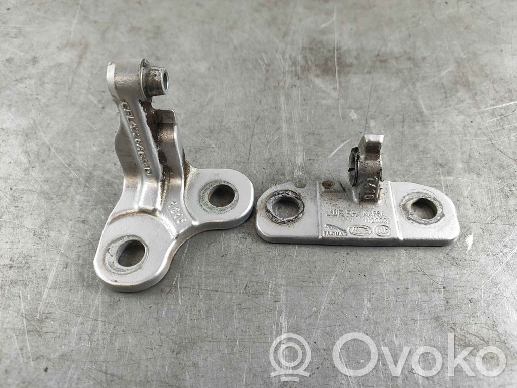 Jaguar F-Pace Zawias dolny drzwi tylnych 