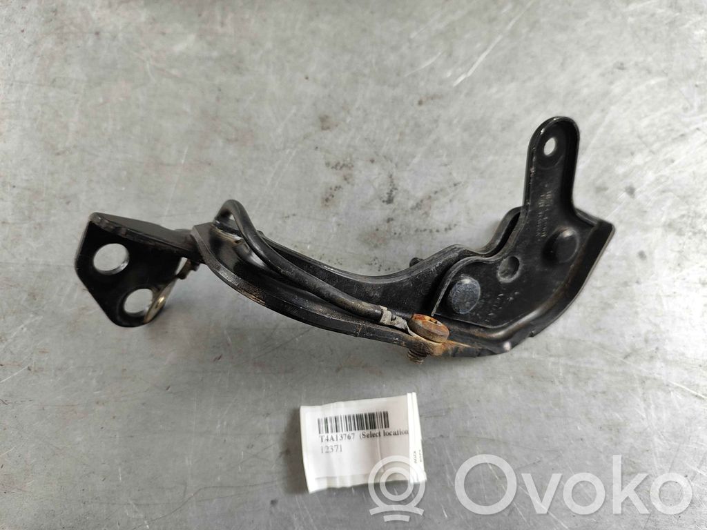 Jaguar F-Pace Tailgate hinge 