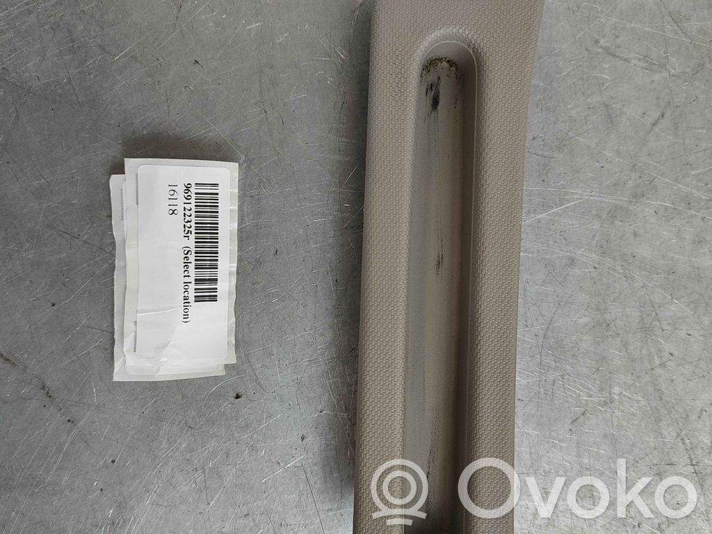 Renault Zoe Embellecedor de la consola central 