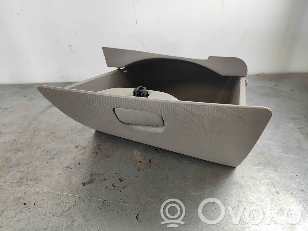 Renault Zoe Guantera 