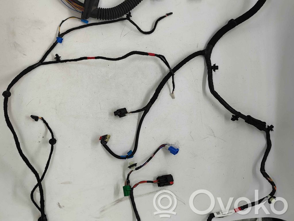 Tesla Model Y Cableado de puerta delantera 