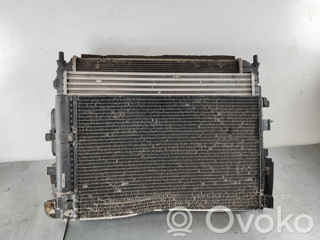 Jaguar XF X250 Radiator set 