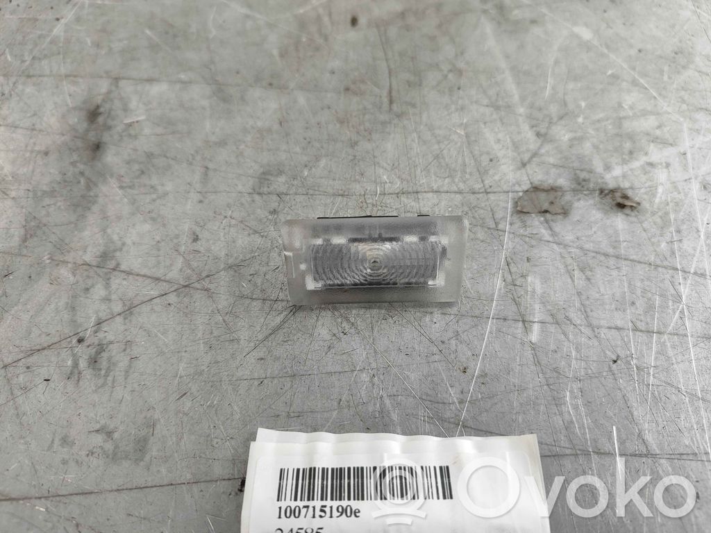 Tesla Model S Kitas salono žibintas 