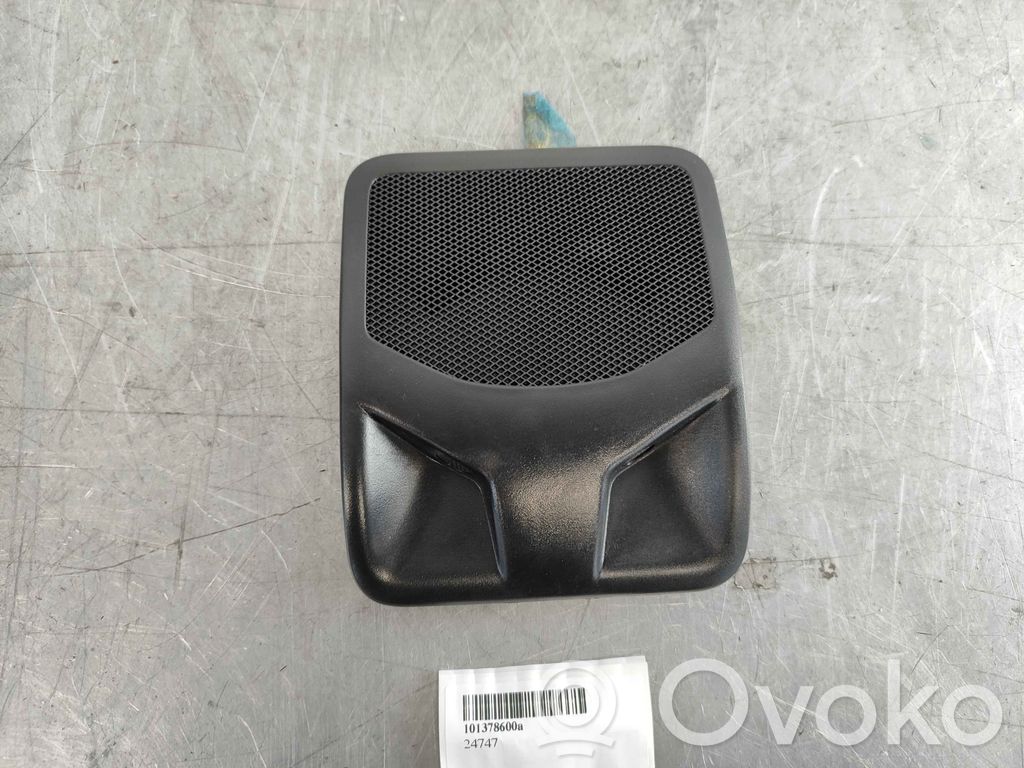 Headliner speaker   101378600A