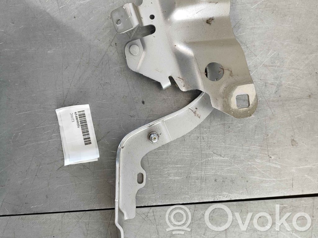 Renault Zoe Engine bonnet/hood hinges 