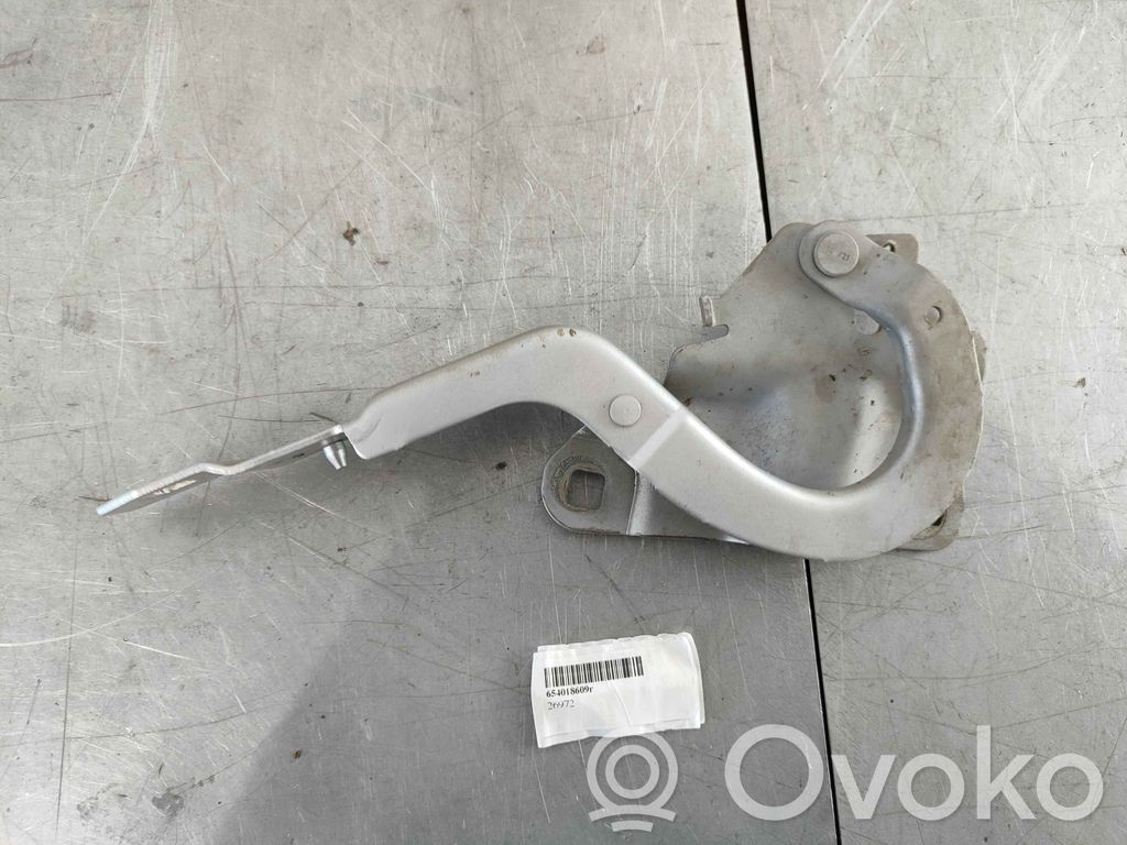 Renault Zoe Engine bonnet/hood hinges 