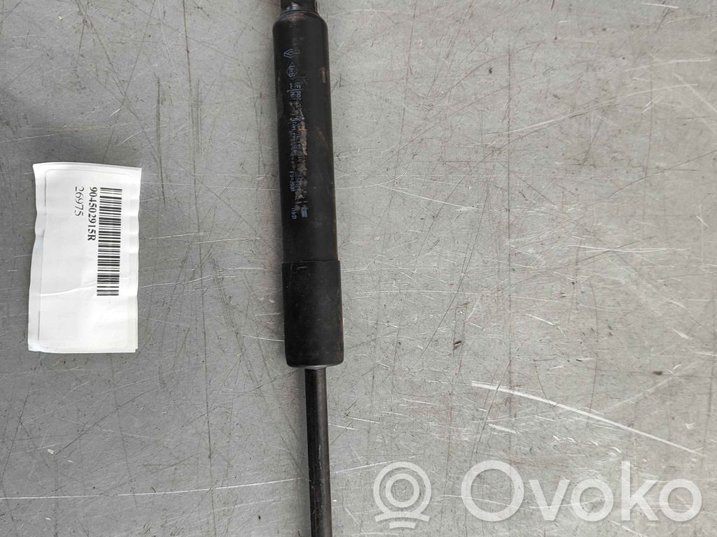 Renault Zoe Engine bonnet/hood prop rod/strut 
