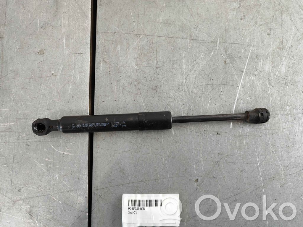 Renault Zoe Front bonnet/hood damper/strut 