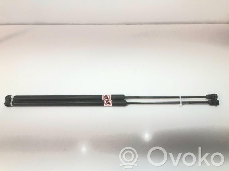 Ford C-MAX II Tailgate/trunk strut/damper 