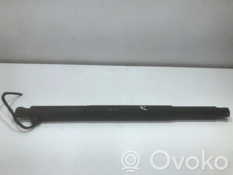 BMW X6 E71 Rear shock absorber/damper 