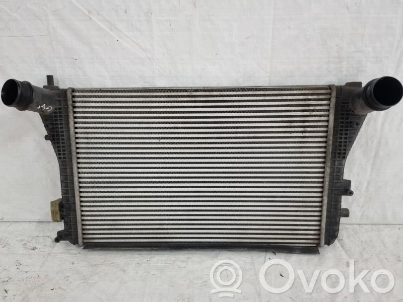 Volkswagen Golf Plus Radiador intercooler 