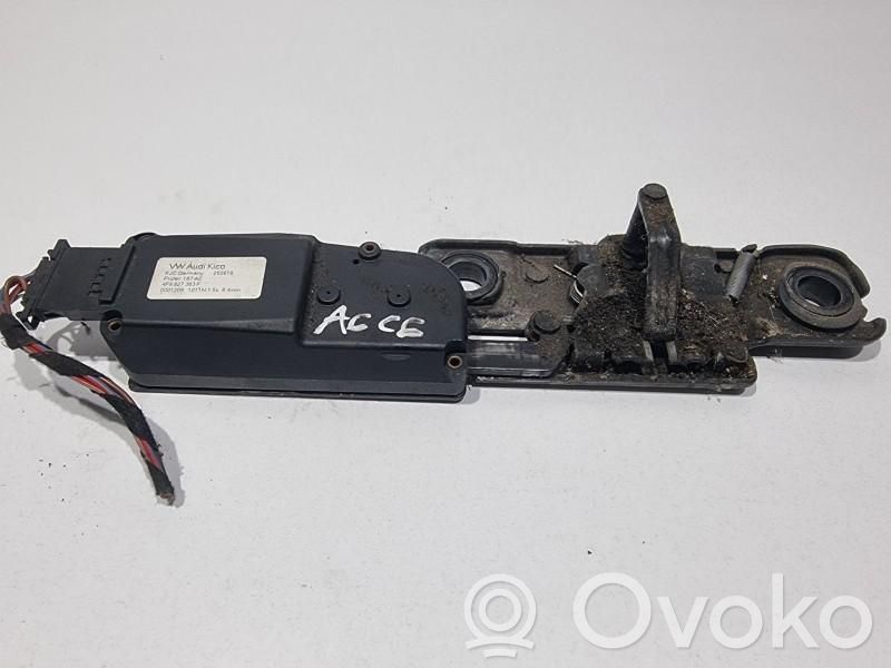 Tailgate/trunk/boot lock/catch/latch   4F9827383F